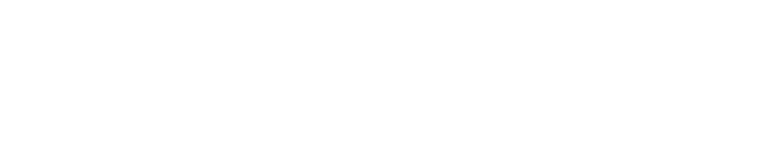 SVS Servicios Integrales Mineros